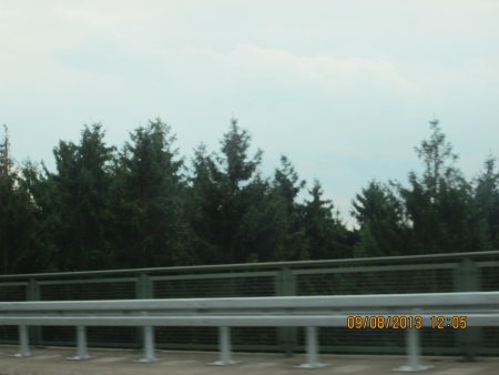 069-IMG_2575.JPG.medium.jpeg