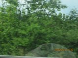 083-IMG_2589.JPG.small.jpeg