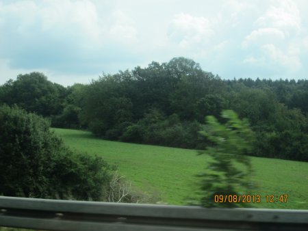 088-IMG_2594.JPG.medium.jpeg