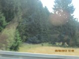 090-IMG_2596.JPG.small.jpeg