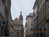 102-IMG_2609.JPG.small.jpeg