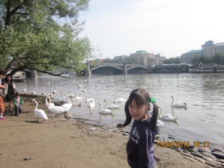 127-IMG_2639.JPG.medium.jpeg