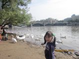 127-IMG_2639.JPG.small.jpeg