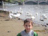 128-IMG_2640.JPG.small.jpeg