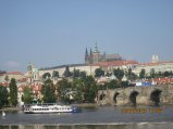 142-IMG_2655.JPG.small.jpeg