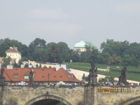 161-IMG_2674.JPG.medium.jpeg