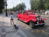 166-IMG_2680.JPG.small.jpeg