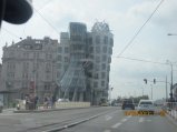 168-IMG_2683.JPG.small.jpeg
