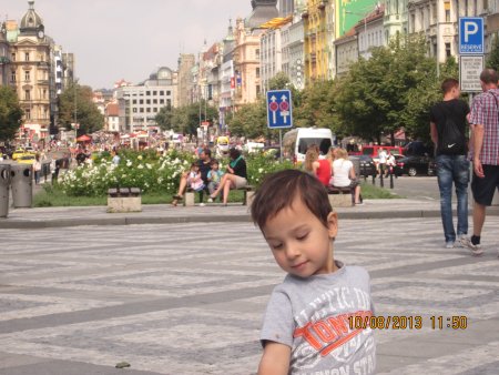 184-IMG_2701.JPG.medium.jpeg