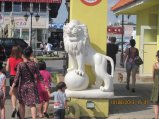 231-IMG_2758.JPG.small.jpeg