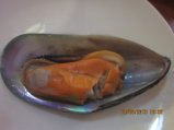 247-IMG_2786.JPG.small.jpeg
