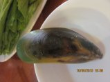 250-IMG_2789.JPG.small.jpeg