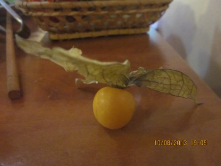 252-IMG_2791.JPG.medium.jpeg