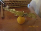 252-IMG_2791.JPG.small.jpeg