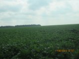 265-IMG_2808.JPG.small.jpeg