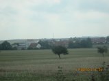 267-IMG_2810.JPG.small.jpeg