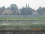 272-IMG_2815.JPG.small.jpeg