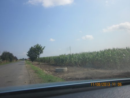 273-IMG_2816.JPG.medium.jpeg