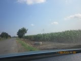 273-IMG_2816.JPG.small.jpeg