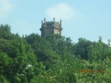 276-IMG_2819.JPG.small.jpeg