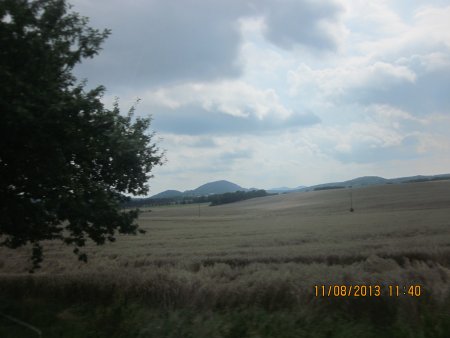 277-IMG_2820.JPG.medium.jpeg