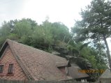 297-IMG_2841.JPG.small.jpeg