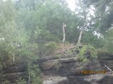 298-IMG_2842.JPG.small.jpeg