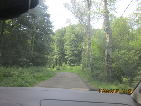301-IMG_2845.JPG.medium.jpeg