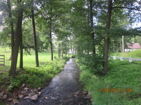 302-IMG_2846.JPG.medium.jpeg