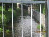 305-IMG_2849.JPG.small.jpeg