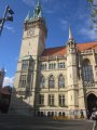 390-IMG_2944.JPG.small.jpeg