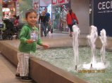 393-IMG_2947.JPG.small.jpeg