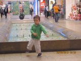 396-IMG_2950.JPG.small.jpeg