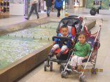 398-IMG_2952.JPG.small.jpeg