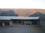 406-IMG_2960.JPG.small.jpeg