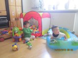 411-IMG_2965.JPG.small.jpeg