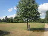 433-IMG_2989.JPG.small.jpeg
