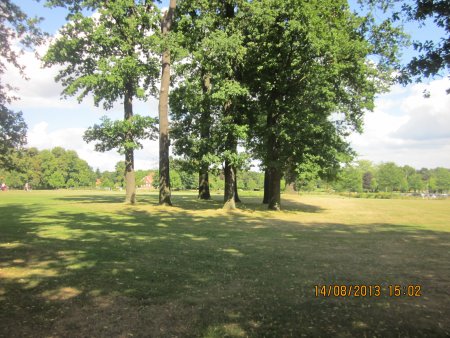 434-IMG_2990.JPG.medium.jpeg