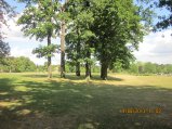 434-IMG_2990.JPG.small.jpeg